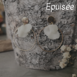 daphne-epuisee