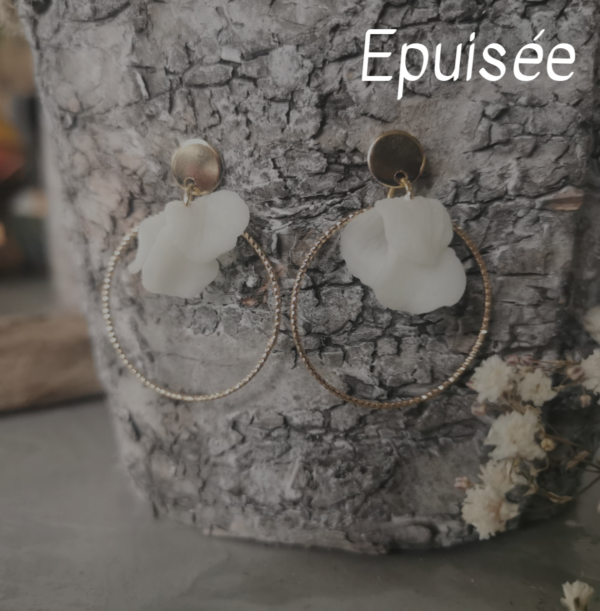 daphne-epuisee