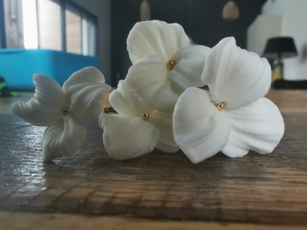 piques-chignon